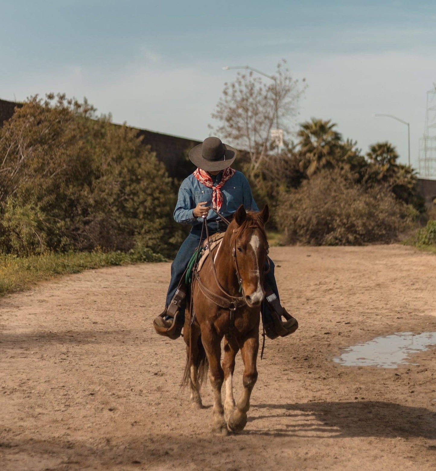 Silk Twill Scarf in Rosey Hot Red