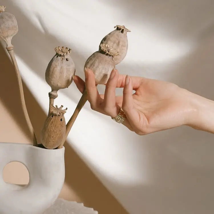 The Chloe Ring