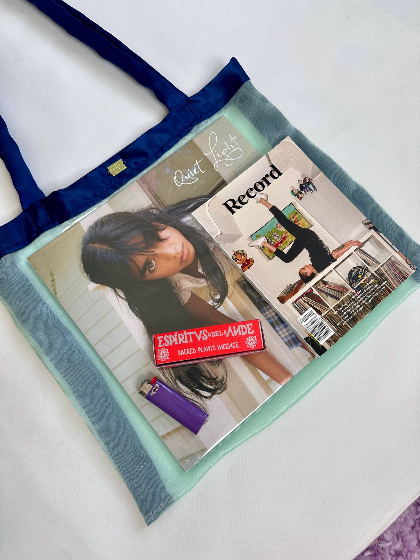 The Veronica Tote Bag in Mint