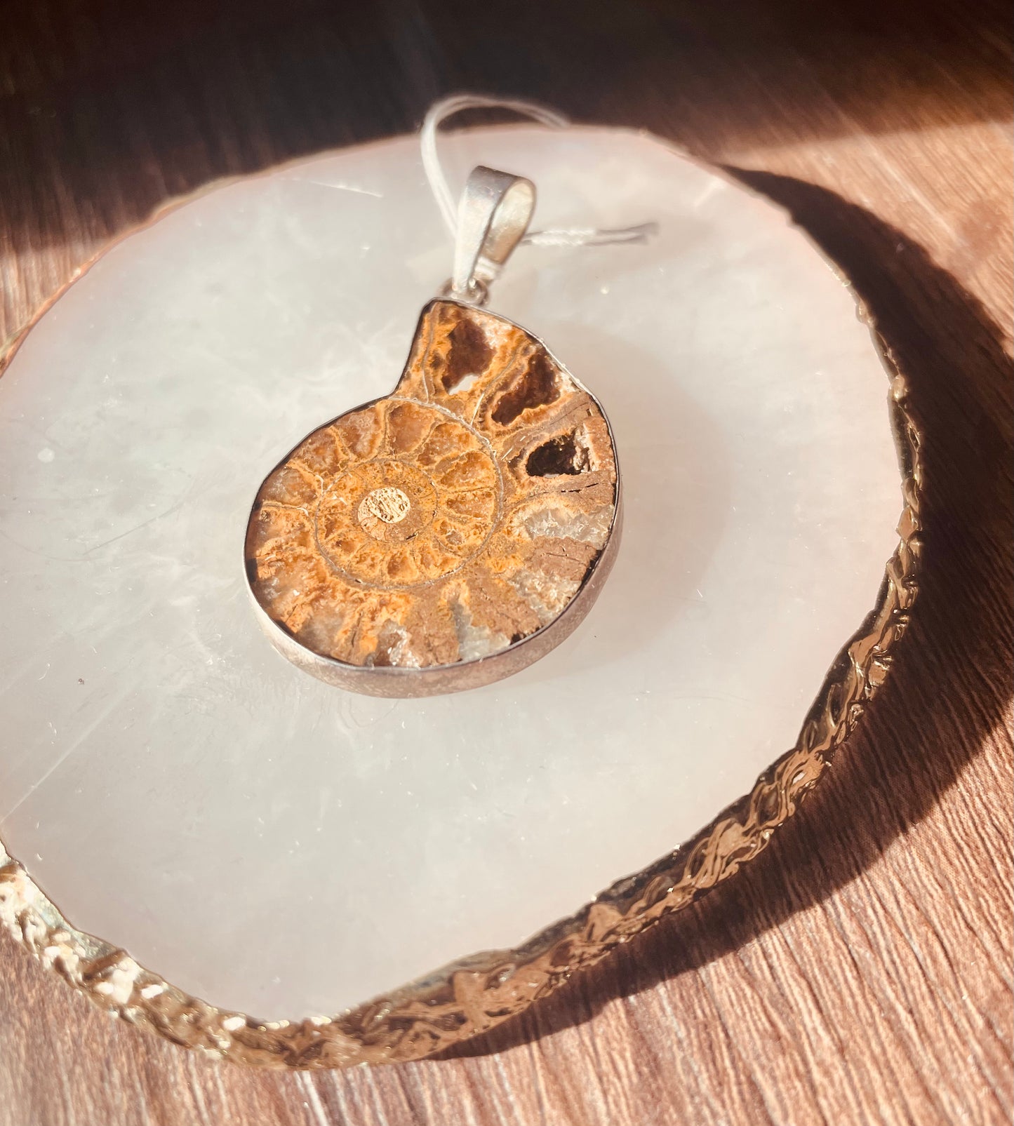 Vintage seashell rock & silver pendant